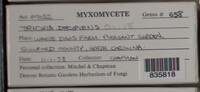 Image Associated With the Occurence